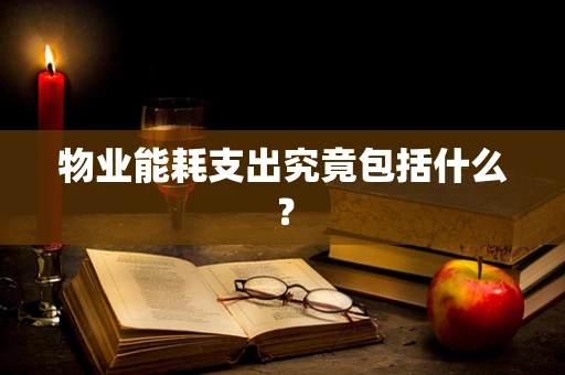 物业能耗支出究竟包括什么？